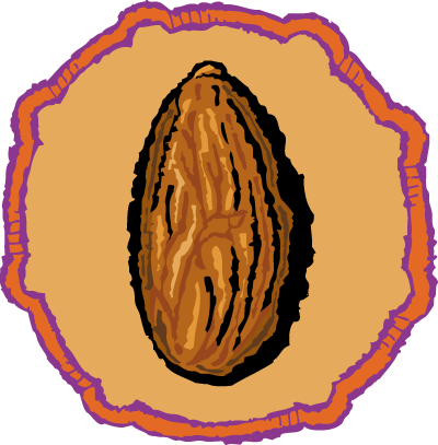 Almond Pound Cake illustration