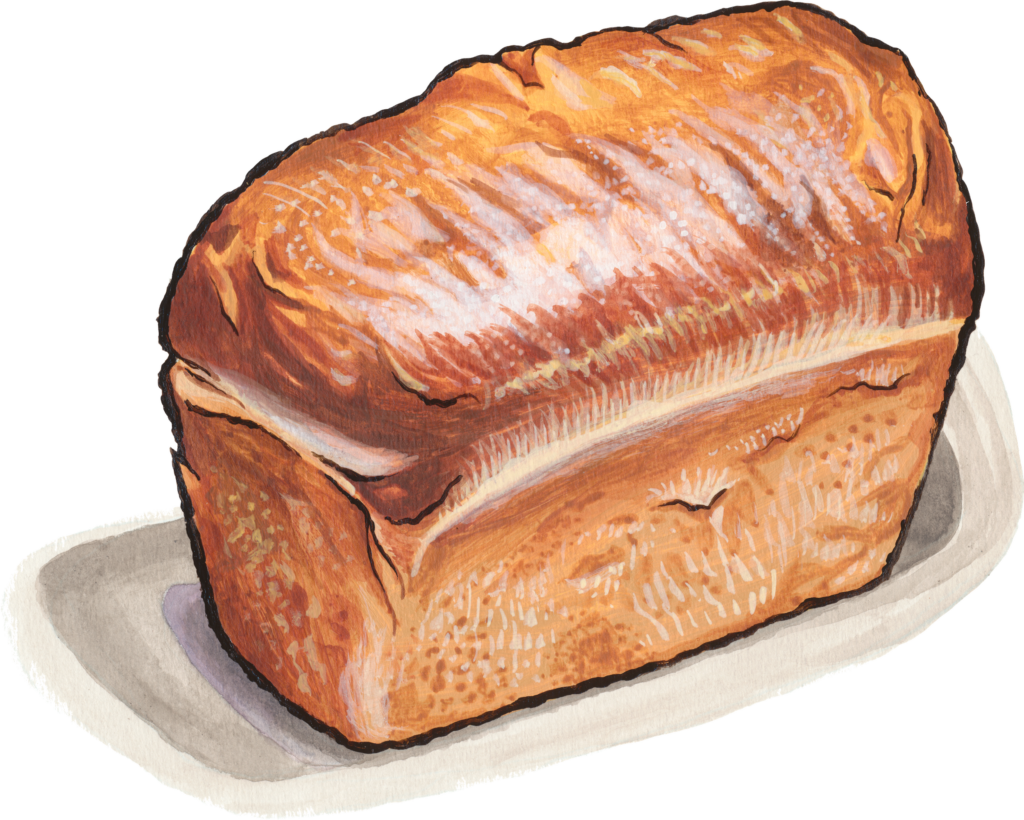 Bakehouse White bread illustration