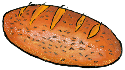 Jewish Caraway Rye bread illustration