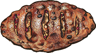 cranberry pecan bread illustration