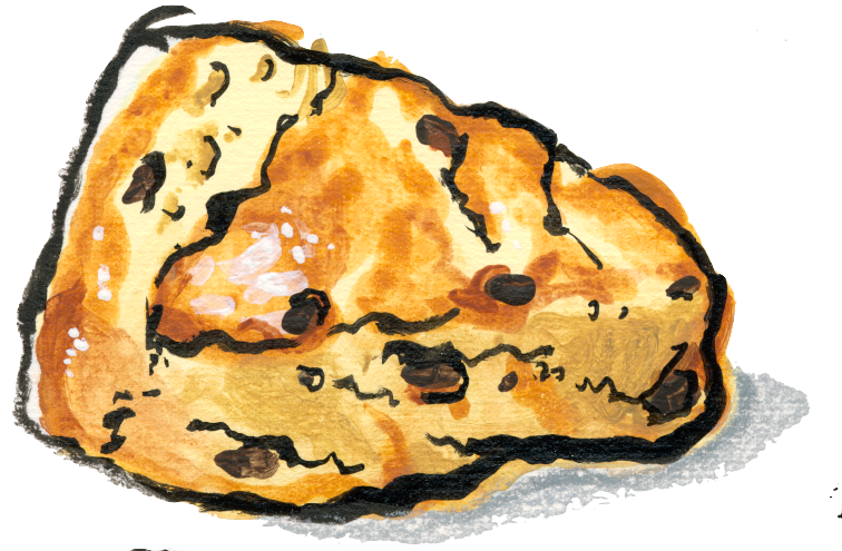 Currant scone illustration