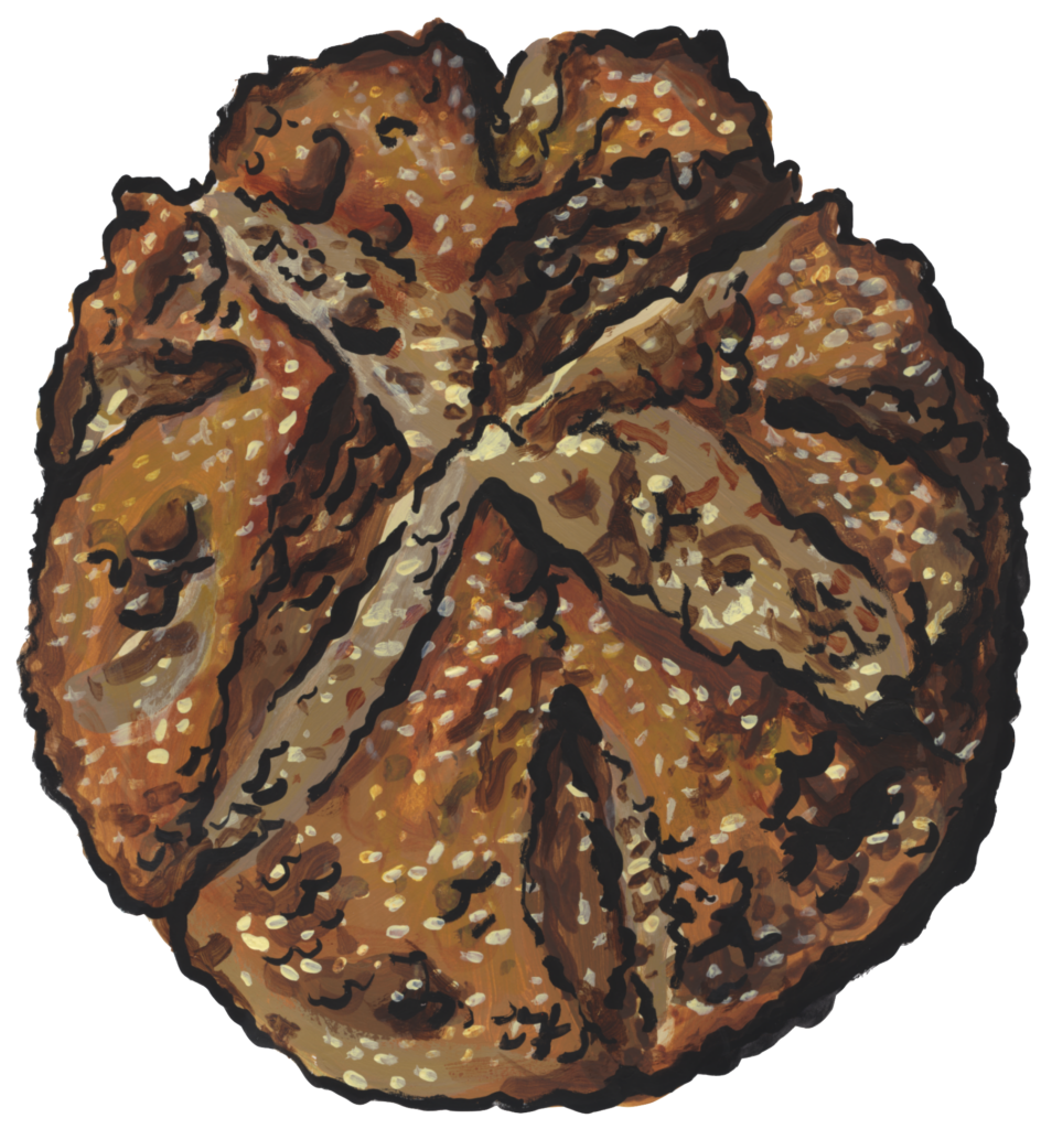 Irish Soda Bread illustration