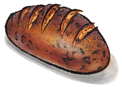 Onion Rye bread illustration