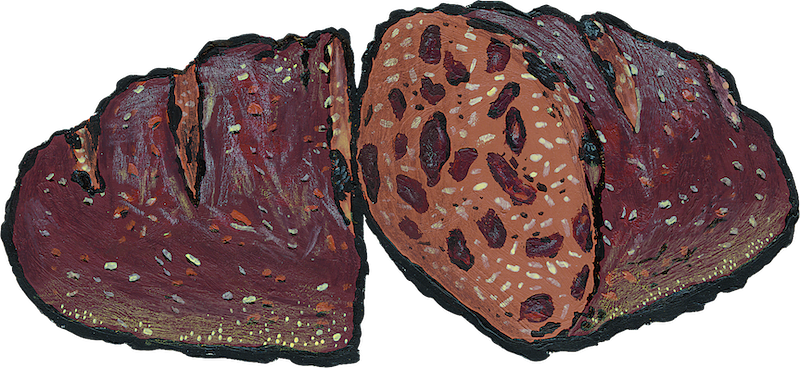 Pumpernickel Raisin Bread illustration with a cross section so you can see the red flame raisins