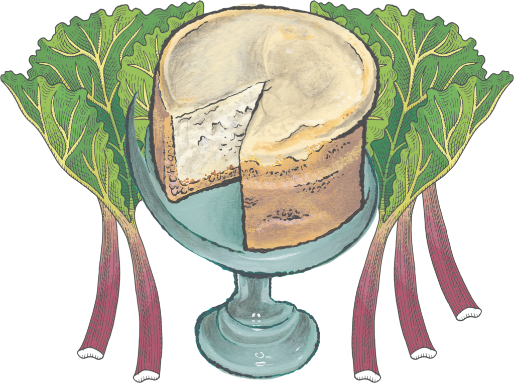 Rhubarn cheesecake illustration