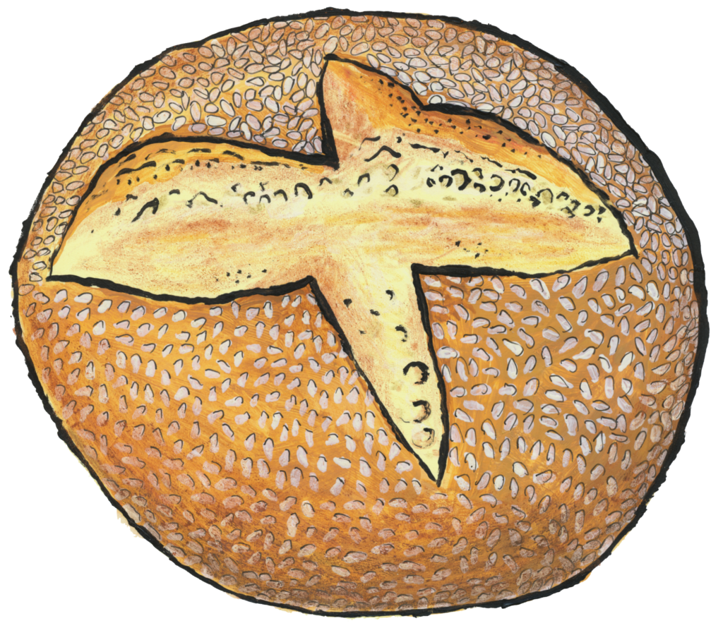sesame semolina round illustration