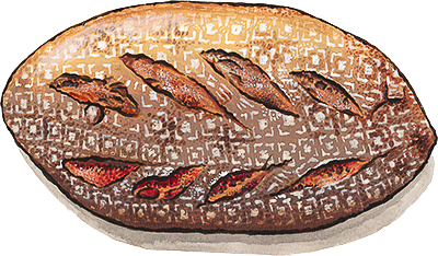 Walnut Sage Bread Loaf Illustrated