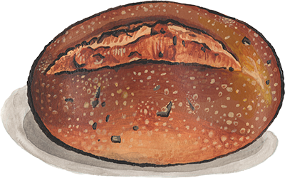 roasted garlic rustic italian illustration